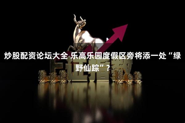 炒股配资论坛大全 乐高乐园度假区旁将添一处“绿野仙踪”？
